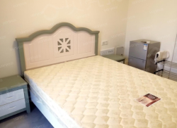 整租·冠城学府 1室0厅 南_冠城学府租房