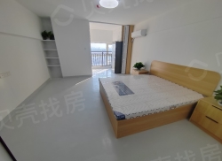 整租·新阳广场 1室1厅 南_新阳广场租房