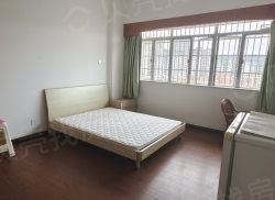 整租·名都大厦 1室0厅 南_名都大厦租房