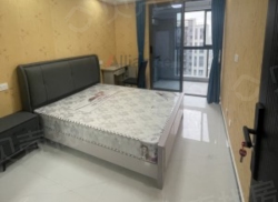 整租·虹枫嘉园 1室0厅 南/北_虹枫嘉园租房