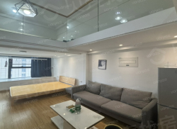 整租·星光商务广场 2室1厅 LOFT 南_星光商务广场租房