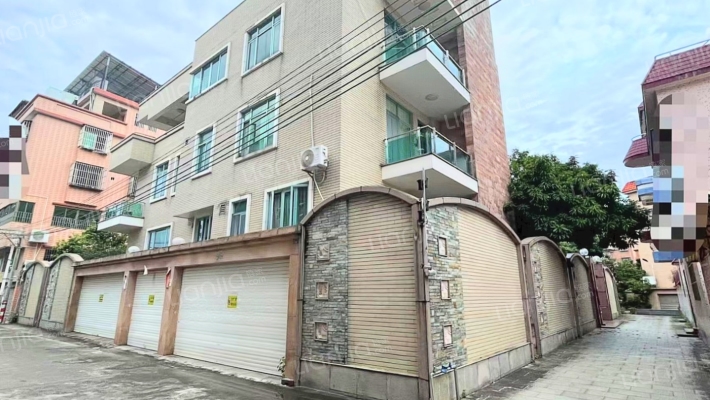 乐从葛岸村二手房实景图