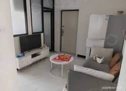 整租·地税局宿舍 2室1厅 南_地税局宿舍租房