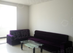 整租·马山·香樟苑东区 3室2厅 南_马山·香樟苑东区租房