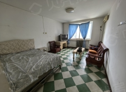 整租·中国人民银行家属院 2室2厅 南/北_中国人民银行家属院租房