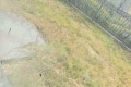锦泰和樾 3室2厅 南 北