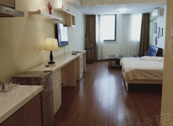 整租·万达广场 1室0厅 西南_万达广场租房