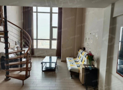 整租·新崎特公寓酒店 1室1厅 北_新崎特公寓酒店租房