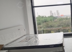 整租·绿地财富中心 1室1厅 南_绿地财富中心租房