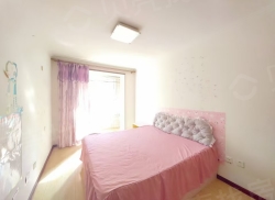 整租·虹园新村北区 2室1厅 南/北_虹园新村北区租房