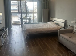 整租·玖沐雨林 1室0厅 南/北_玖沐雨林租房