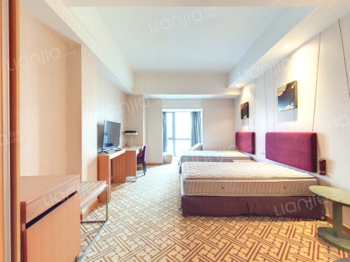 整租·雅戈尔YAKR公馆 1室1厅 南