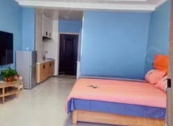 整租·正德嘉苑 1室1厅 南_正德嘉苑租房