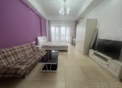 整租·東能·中央公馆 1室1厅 南_東能·中央公馆租房