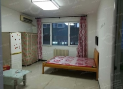 整租·北京理想城 1室1厅 北_北京理想城租房