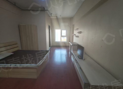 整租·钻石广场 1室0厅 北_钻石广场租房