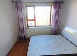 整租·新华一区 1室1厅 北_新华一区租房