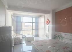 整租·中央亿品 1室0厅 南_中央亿品租房