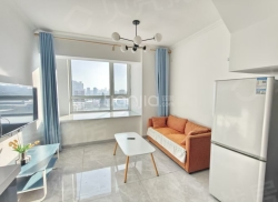 整租·金地·中央大街 1室1厅 南_金地·中央大街租房