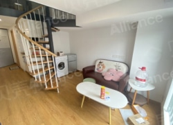 整租·力高凤凰新天 1室1厅 北_力高凤凰新天租房