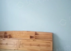 整租·河西新村 3室2厅 南_河西新村租房