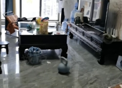 整租·绿地枫林公馆 3室2厅 南/北_绿地枫林公馆租房