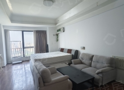 整租·万达广场 1室1厅 南_万达广场租房