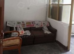 整租·合作北路11-1号 1室1厅 南_合作北路11-1号租房