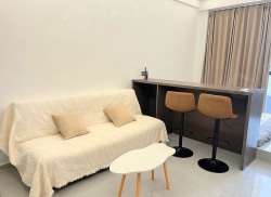 整租·汇金时代中心 1室1厅 南_汇金时代中心租房