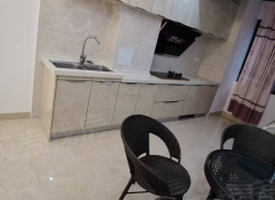 整租·王府广场 1室1厅 南_王府广场租房