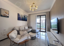 整租·银滩天玺 2室1厅 南_银滩天玺租房