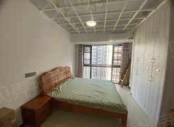 整租·滨江首府 1室1厅 南_滨江首府租房