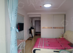 整租·百度城 1室1厅 南_百度城租房