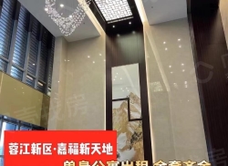整租·嘉福新天地一期 1室1厅 南/北_嘉福新天地一期租房