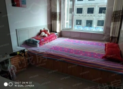 整租·讨号板高层住宅 3室2厅 南_讨号板高层住宅租房