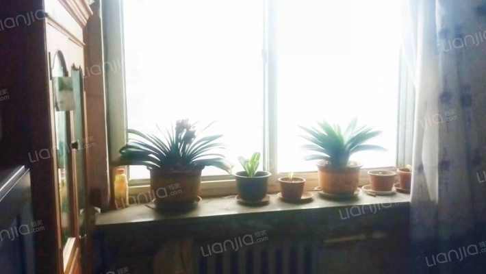 自强小区二手房实景图