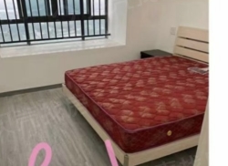 整租·碧桂园滨湖城 3室2厅 南_碧桂园滨湖城租房