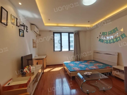 整租·运河壹号公馆 1室1厅 南