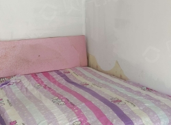 整租·运输公司家属院南院 2室1厅 西_运输公司家属院南院租房