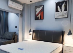 整租·润达国际 1室1厅 东南_润达国际租房