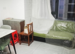 整租·碧桂园星宸 1室1厅 南_碧桂园星宸租房