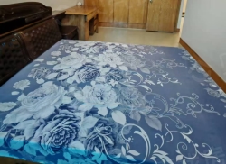 整租·红房二街 2室1厅 南/北_红房二街租房