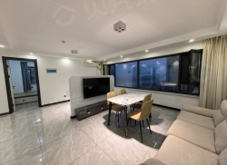 整租·沈抚中南熙悦 3室2厅 南/北_沈抚中南熙悦租房