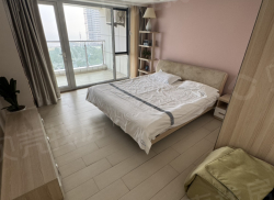 整租·兴龙香玺海 1室1厅 西南_兴龙香玺海租房