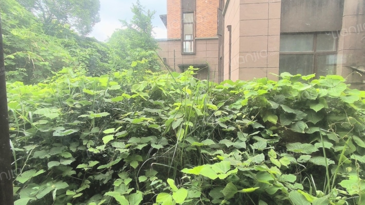 白晶谷ML区二手房实景图