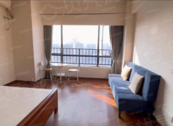 整租·天赐万象荟 1室0厅 南_天赐万象荟租房