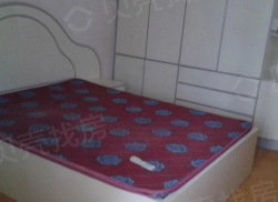 整租·定安街碧浪小区 1室1厅 南_定安街碧浪小区租房