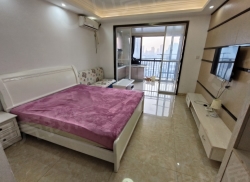 整租·东晟文化公馆 1室1厅 南_东晟文化公馆租房