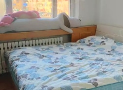 整租·通辽市司法小区 2室1厅 南/北_通辽市司法小区租房