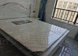 整租·欣运国际广场 2室1厅 南_欣运国际广场租房